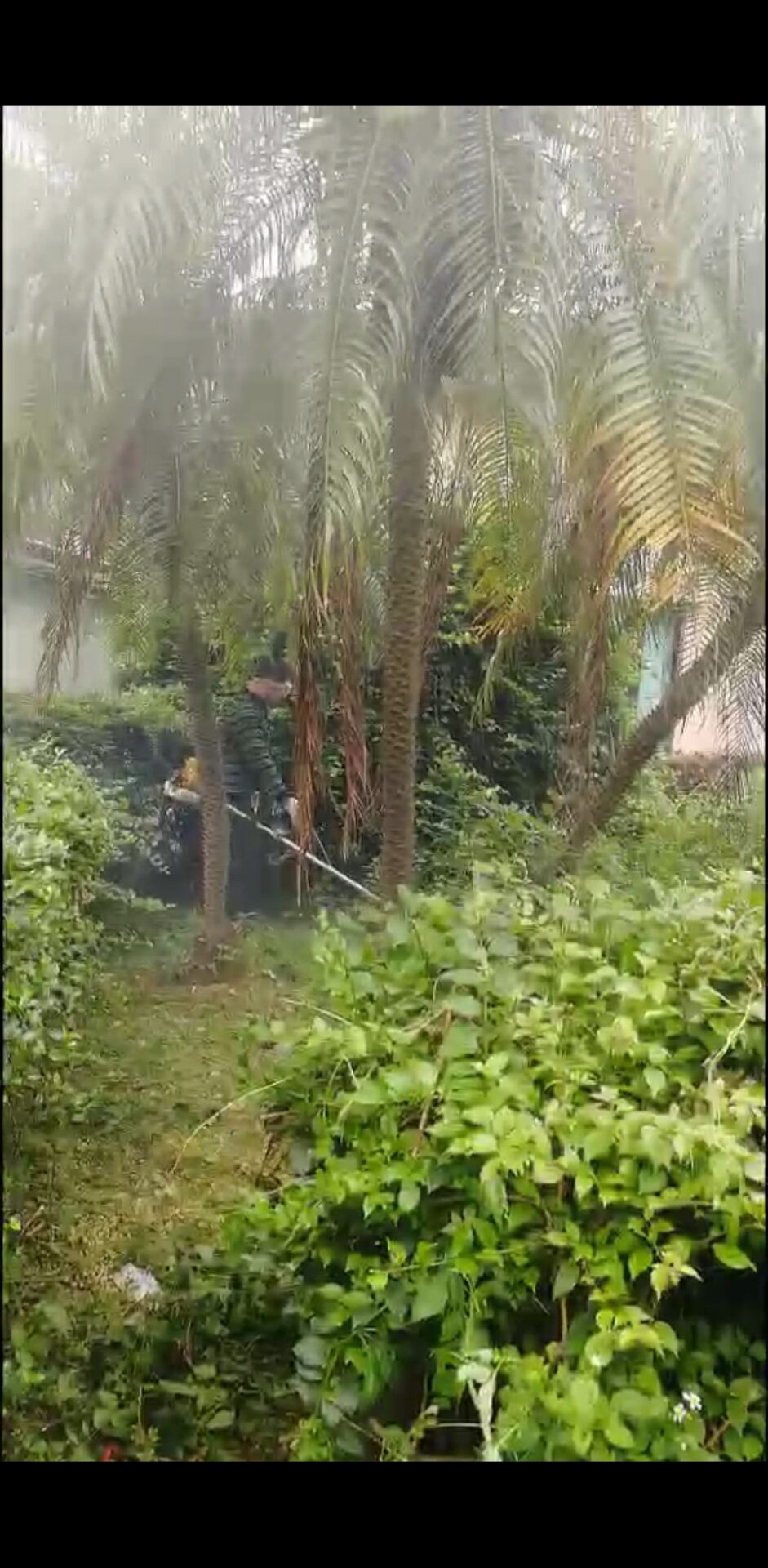园林绿化服务工程