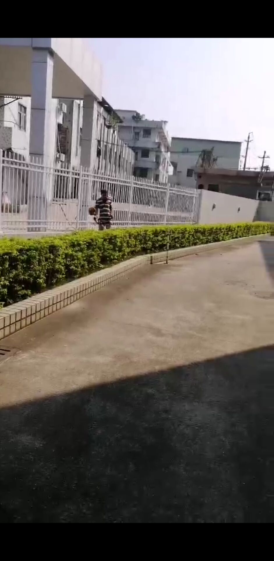 园林绿化养护公司